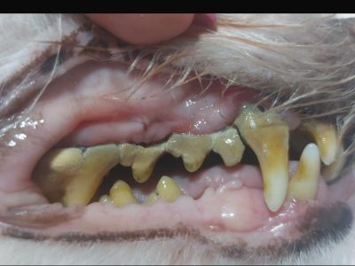 43c075a0-676d-4af7-8b5c-4ab57f99e332