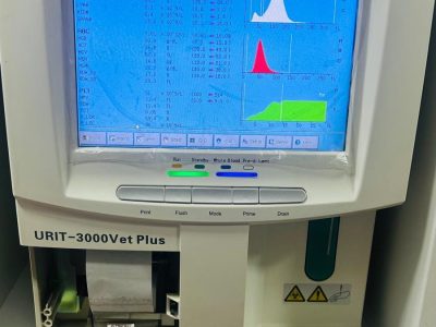 ANALIZE HEMATOLOGICE