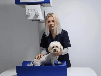 Screenshot 2025-11-25 154519